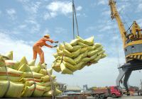 Kim ngạch xuất khẩu gạo Việt Nam năm 2016 đạt 2,2 tỷ USD