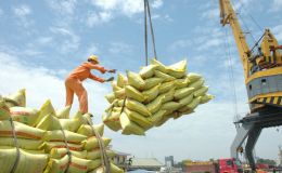 Kim ngạch xuất khẩu gạo Việt Nam năm 2016 đạt 2,2 tỷ USD